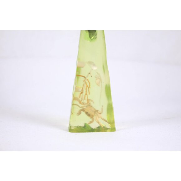 1960-1980s lucite acrylic sea theme bottle opener, taxidermy miniature crab soda - Picture 3 of 9